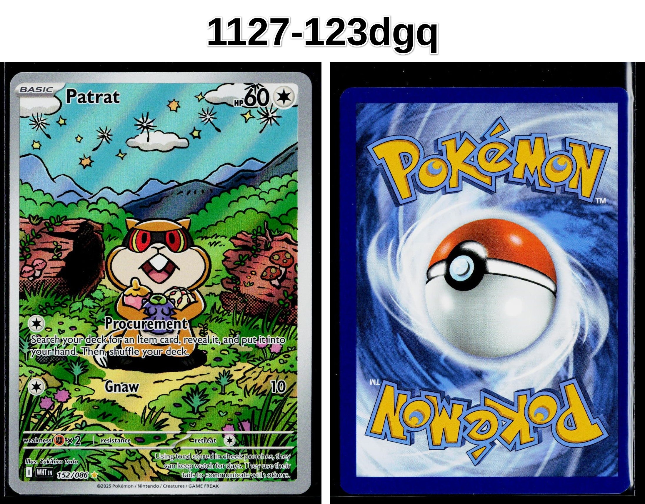 Front + Back scan