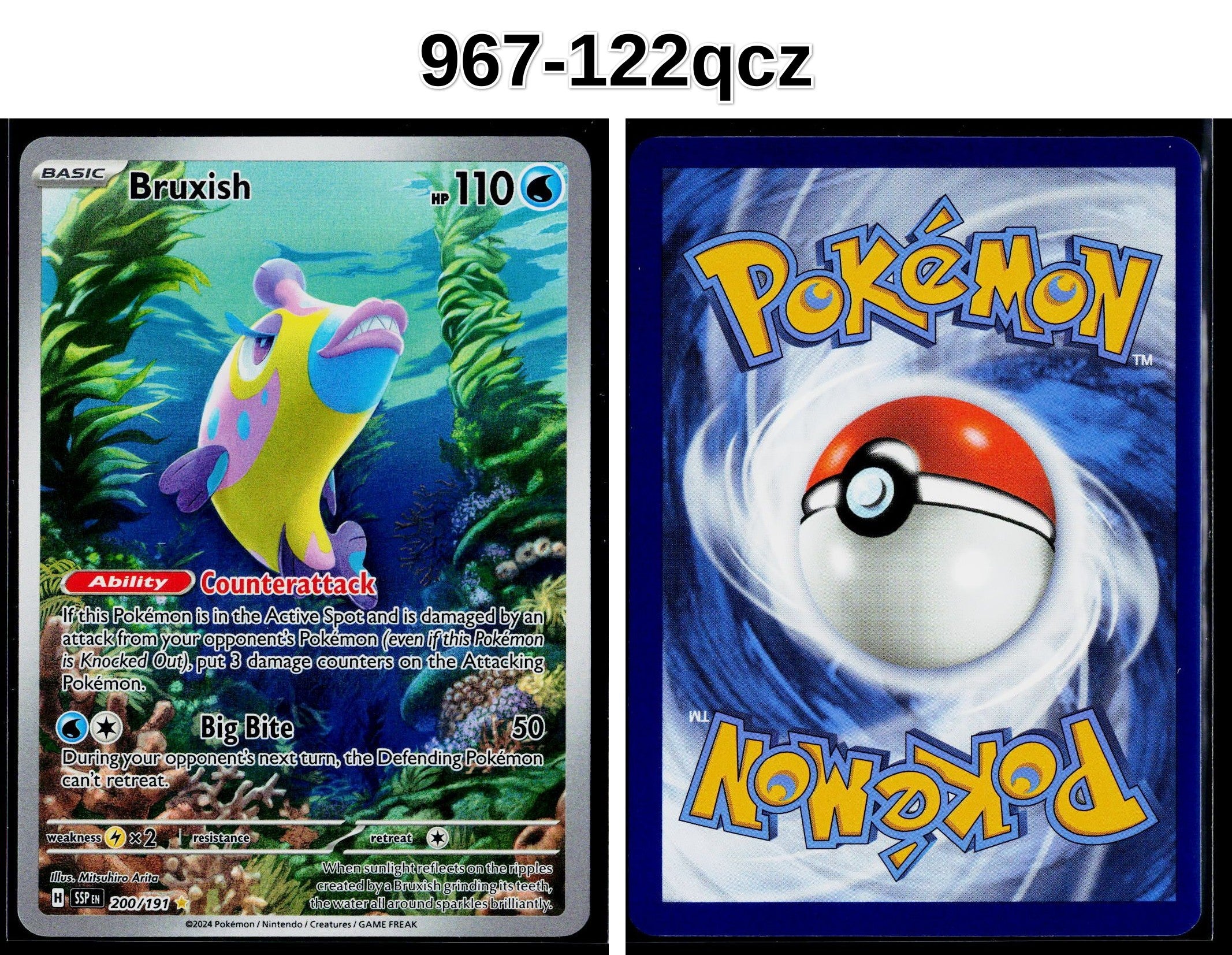 Front + Back scan