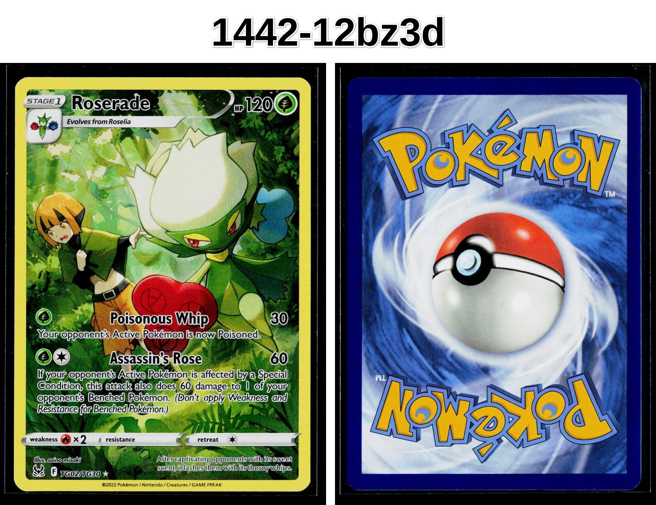 Front + Back scan