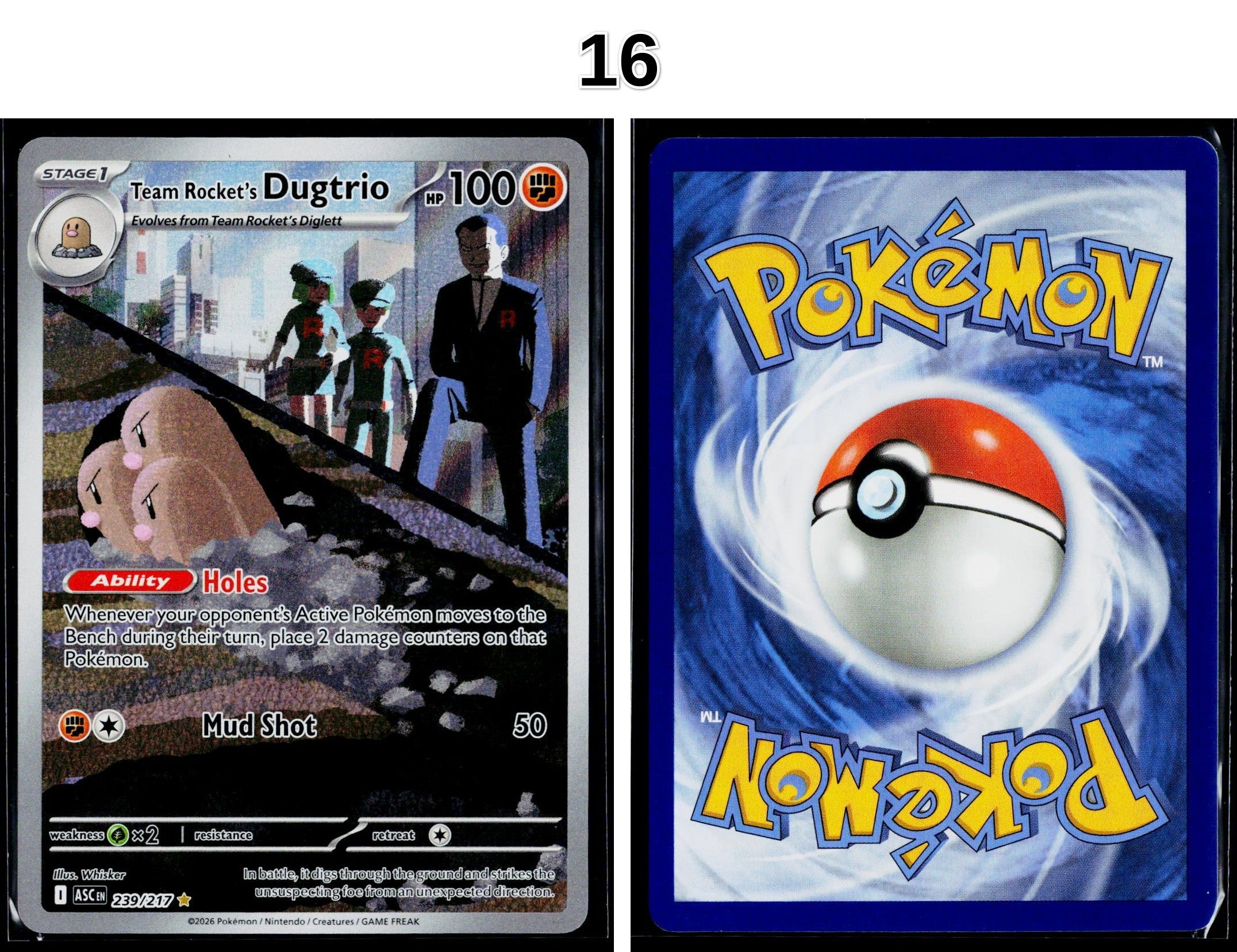 Front + Back scan