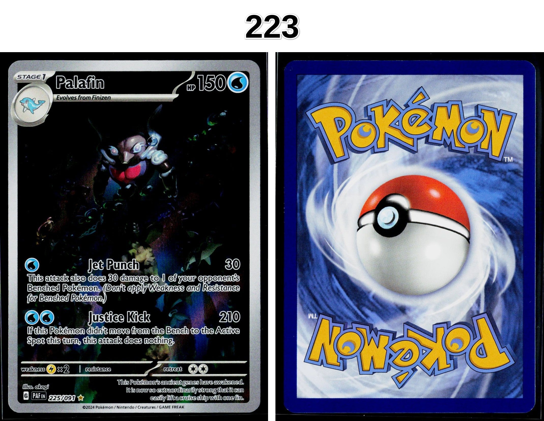 Front + Back scan