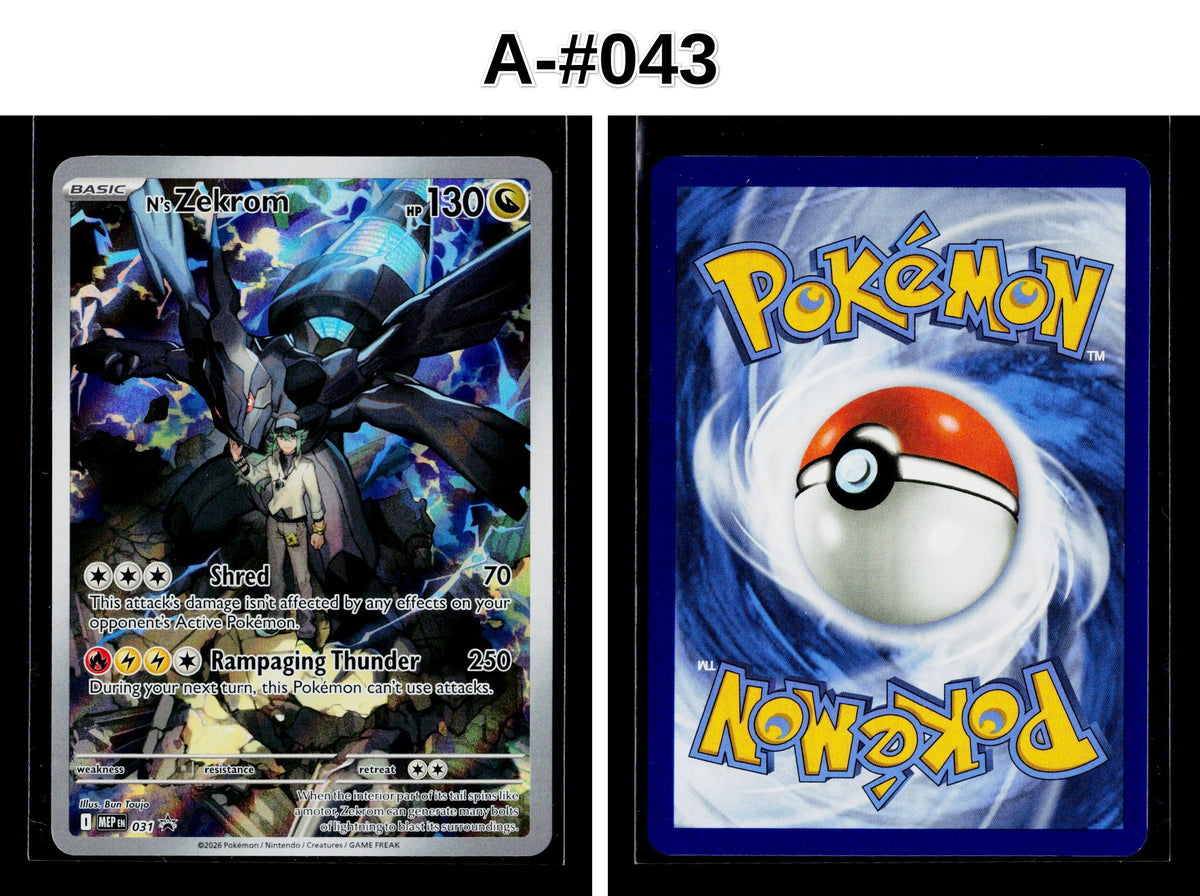Front + Back scan