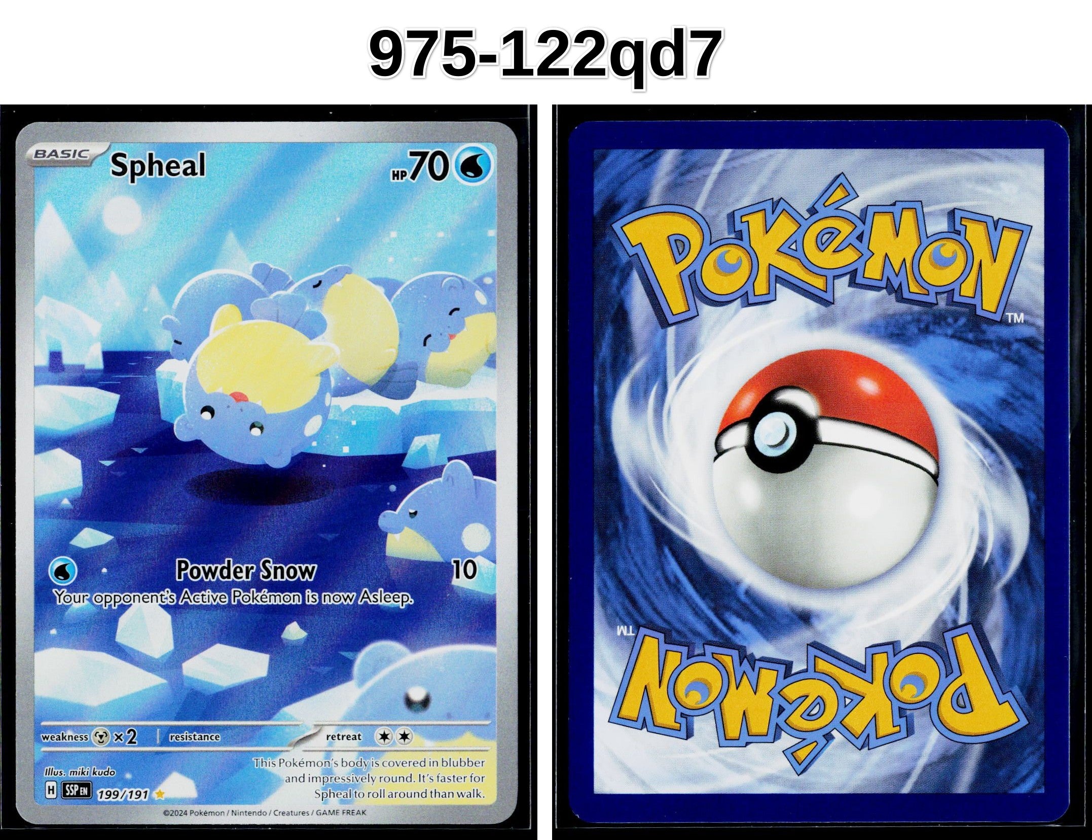 Front + Back scan