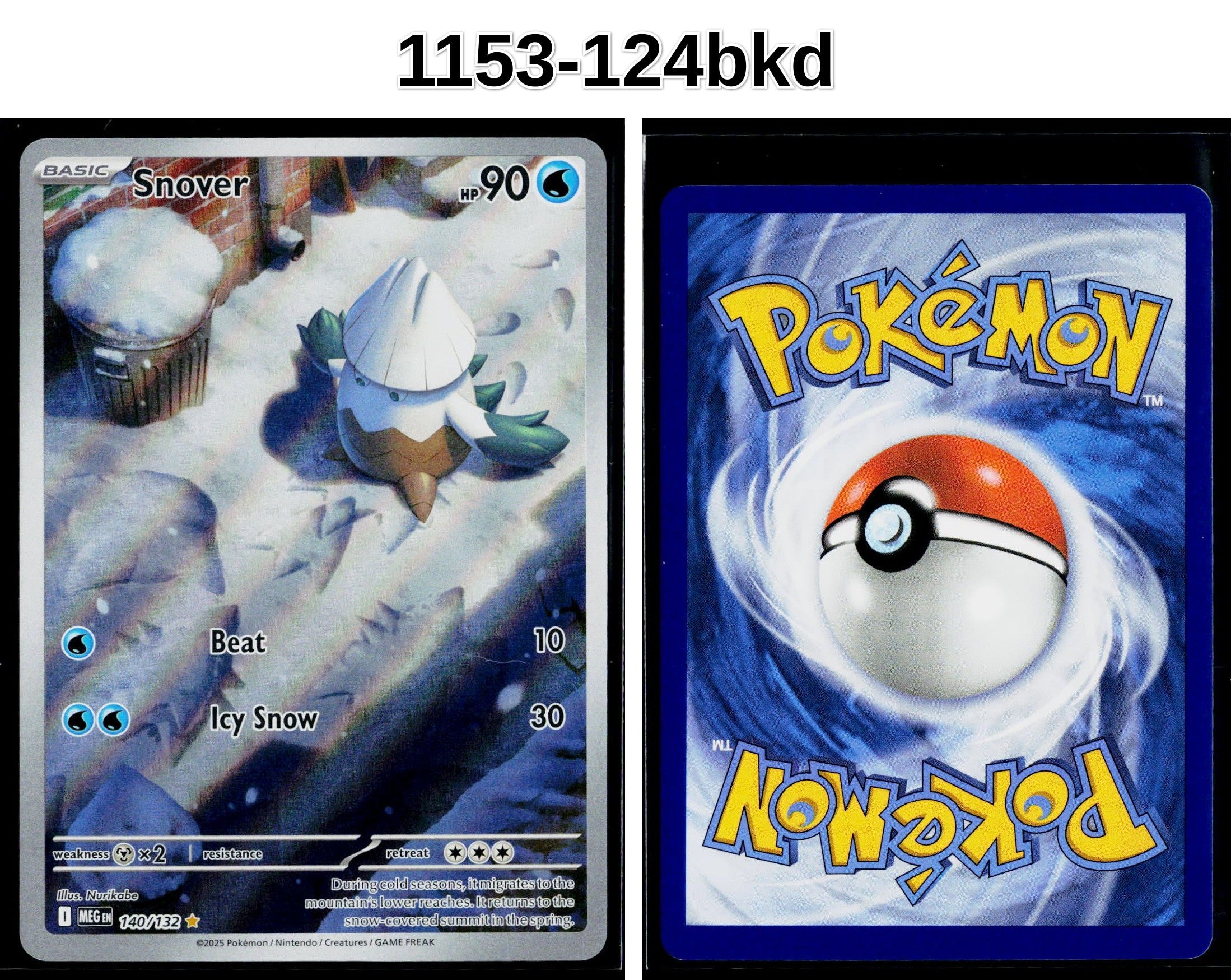 Front + Back scan