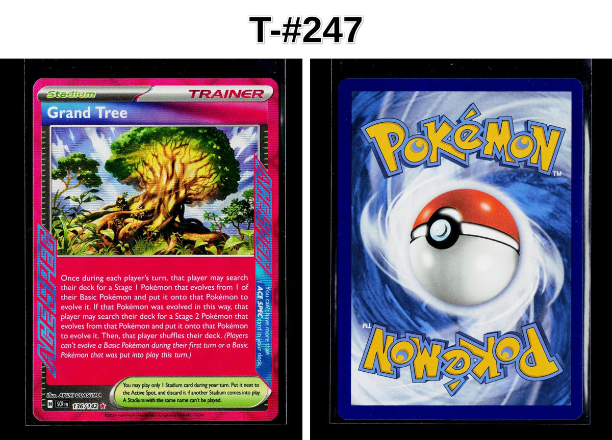 Front + Back scan