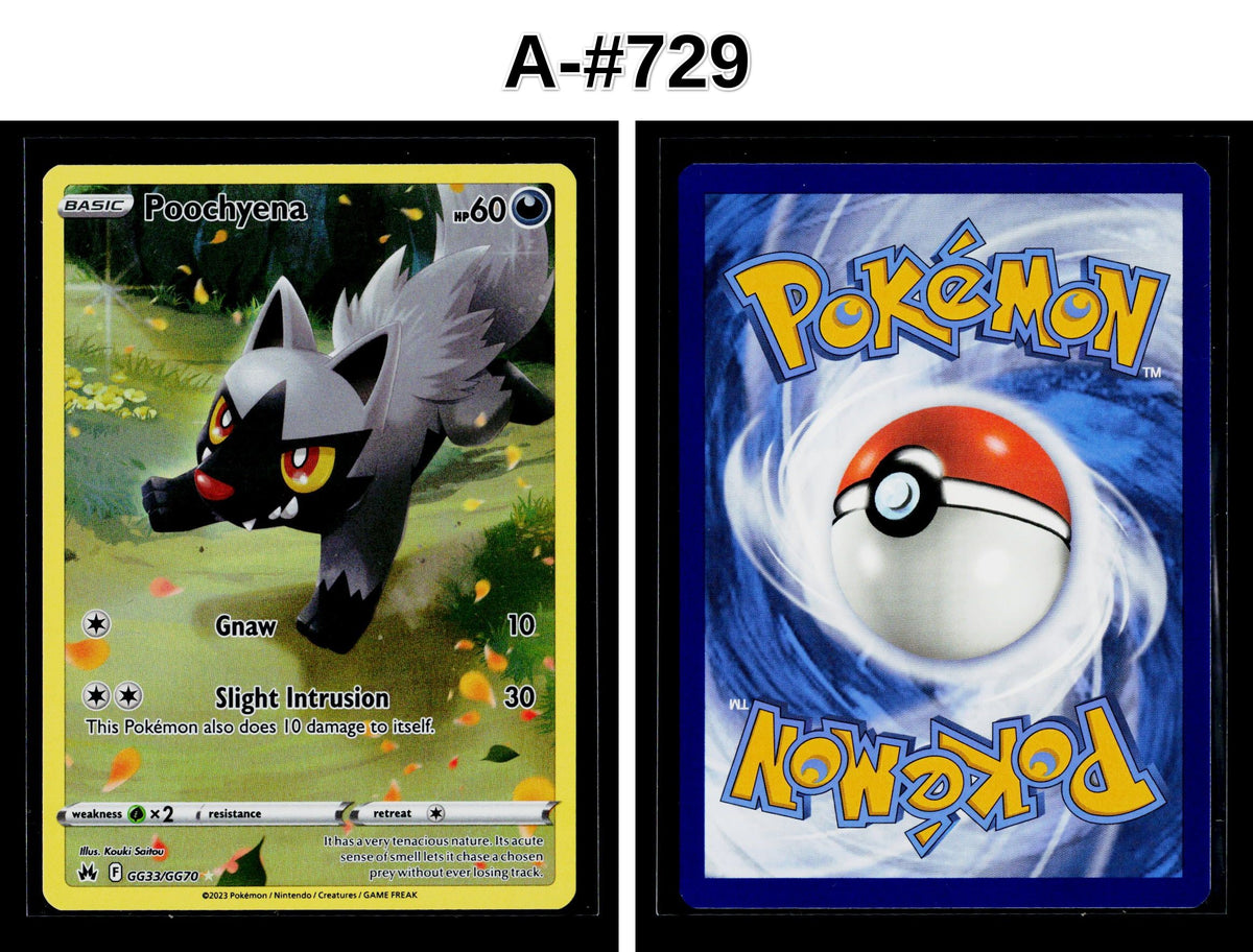 Front + Back scan