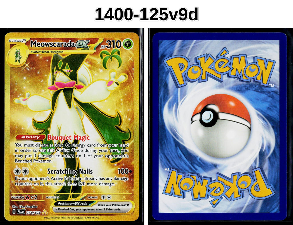 Front + Back scan