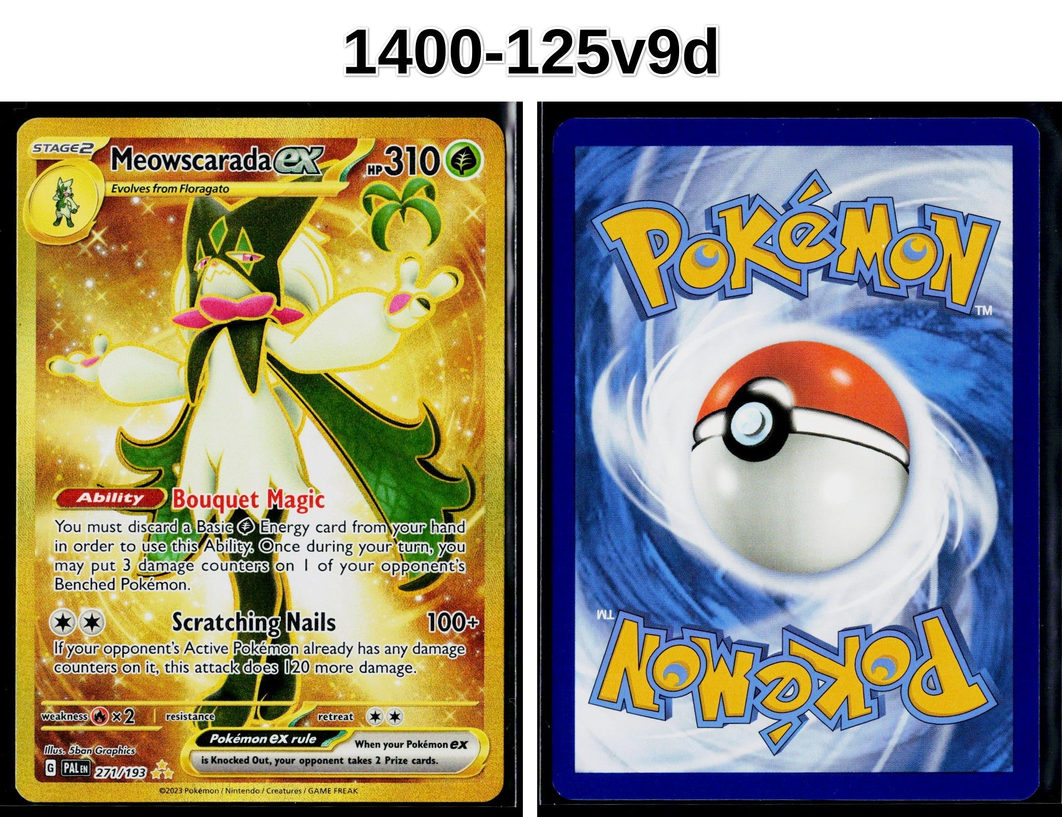 Front + Back scan