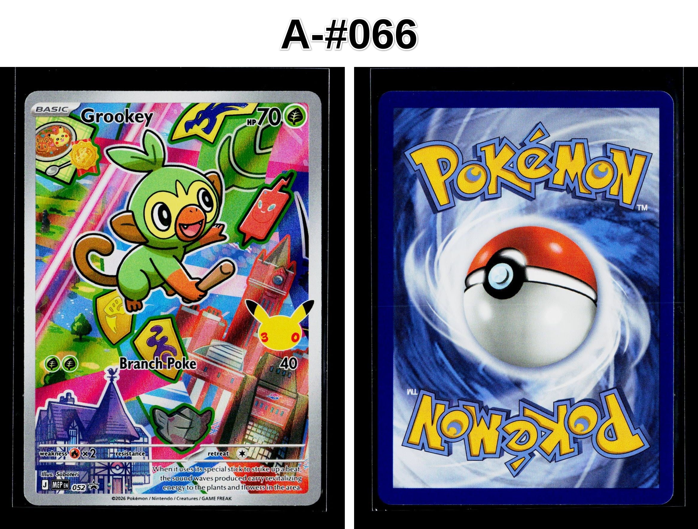 Front + Back scan