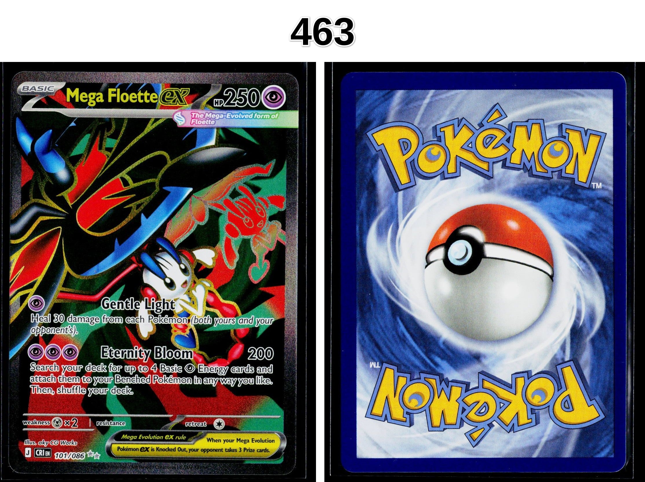 Front + Back scan