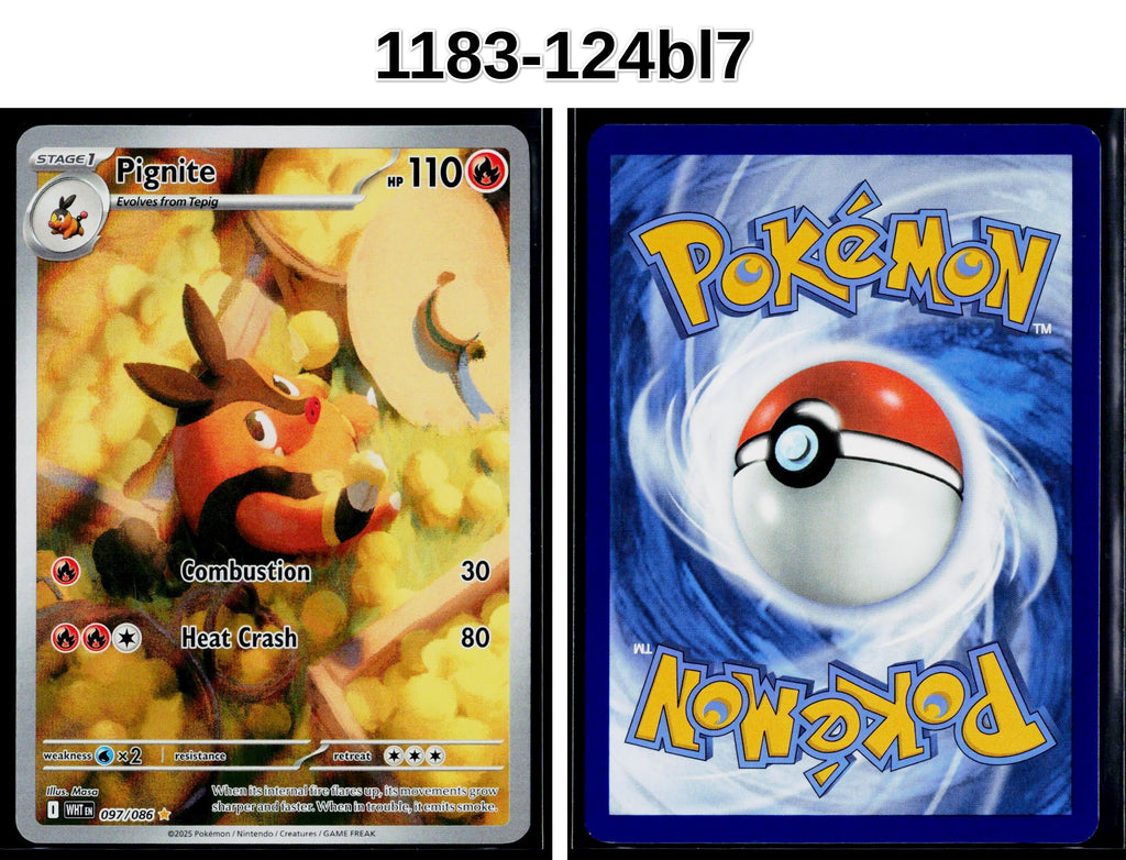 Front + Back scan