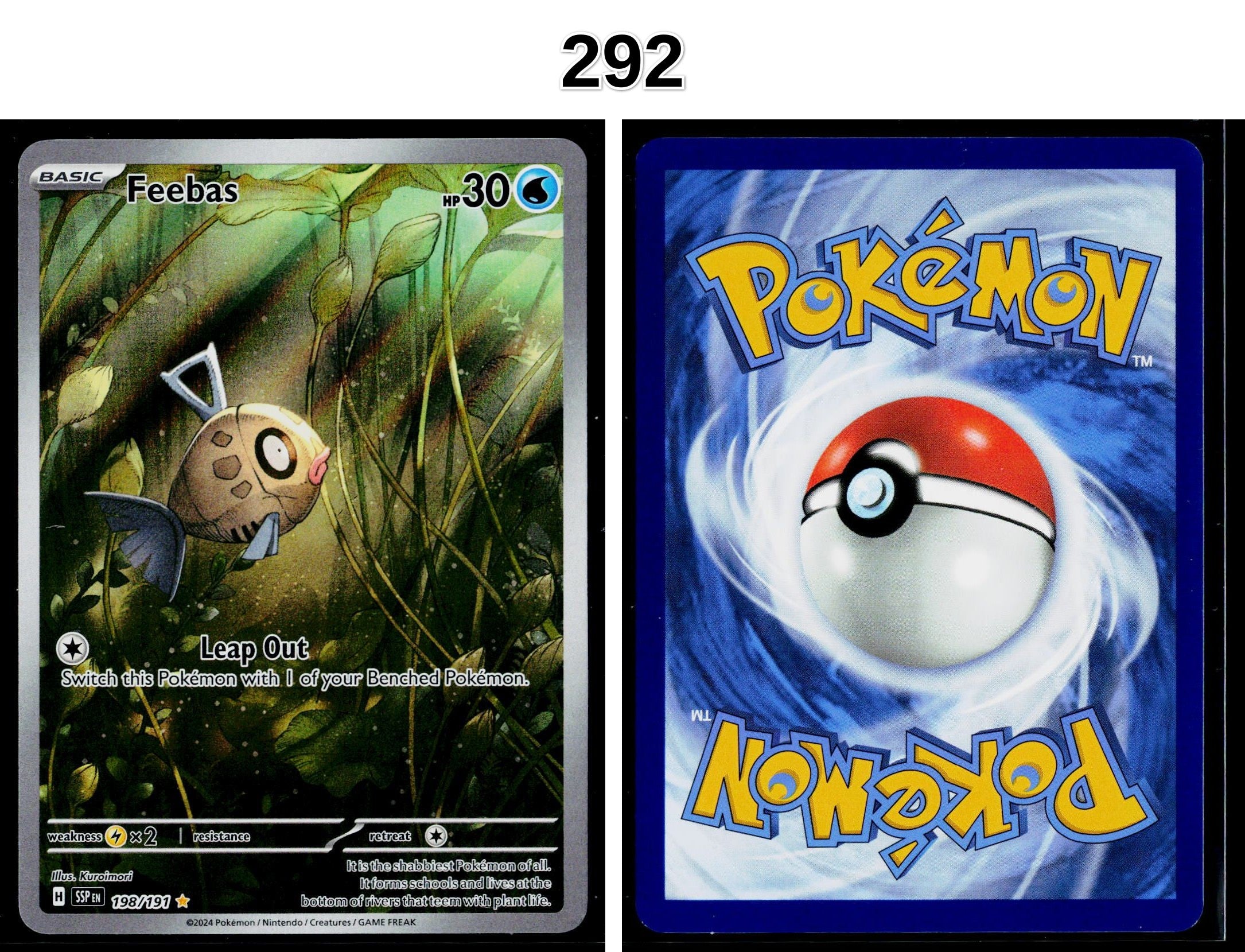 Front + Back scan
