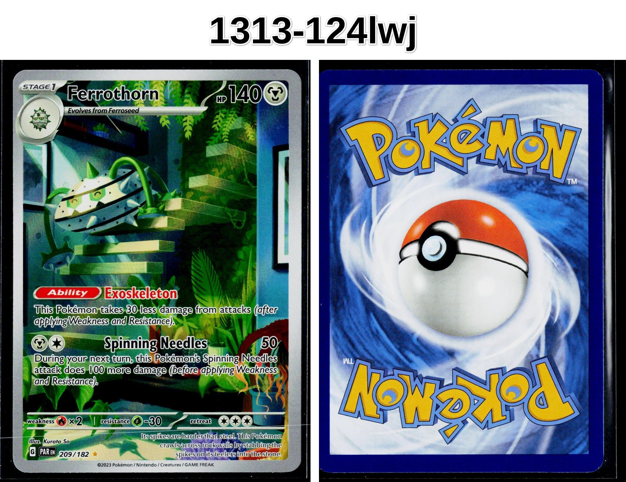 Front + Back scan