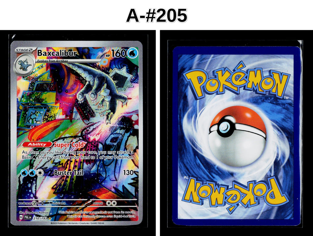 Front + Back scan
