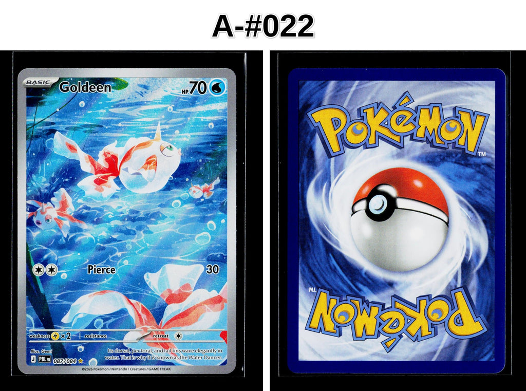 Front + Back scan