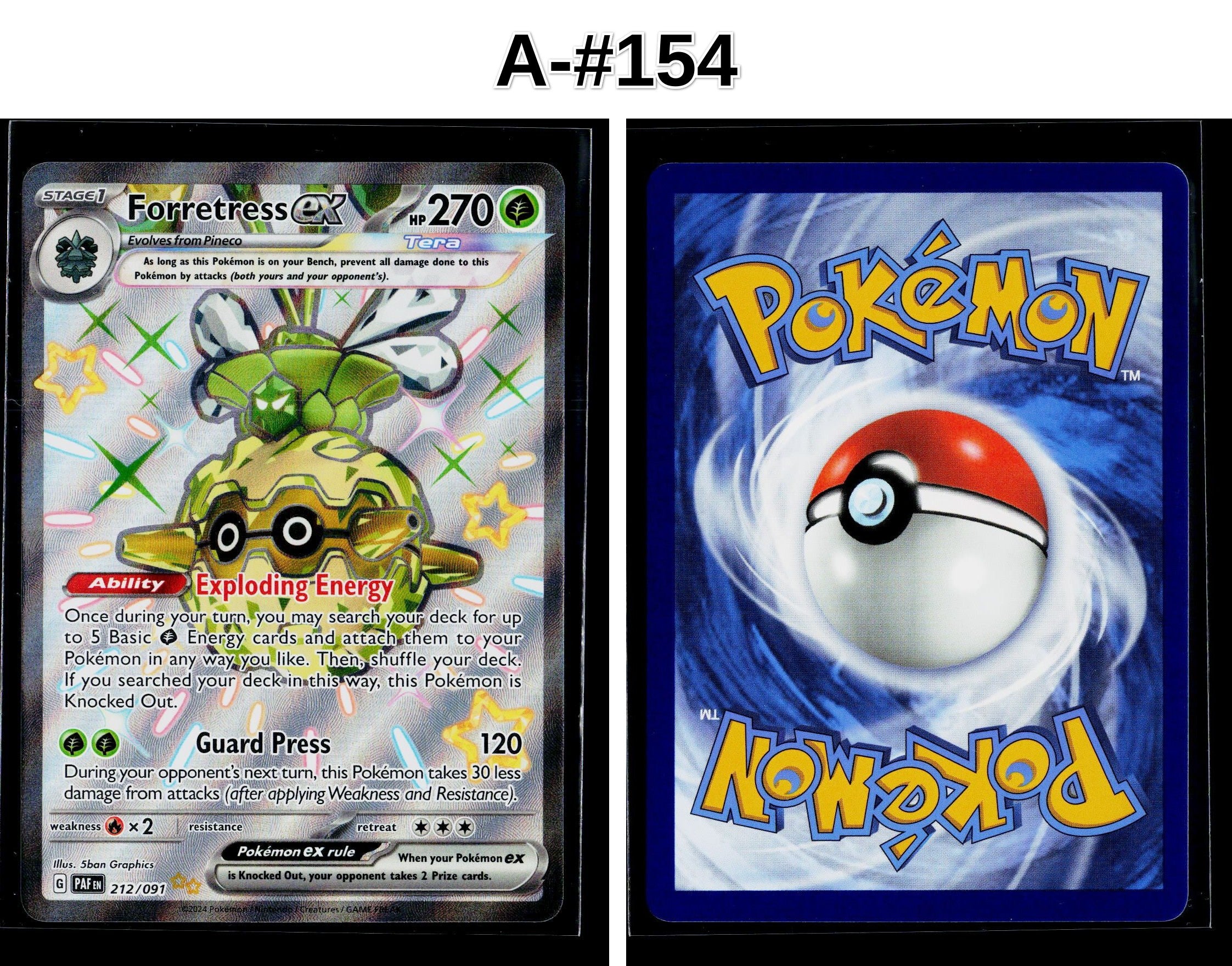 Front + Back scan