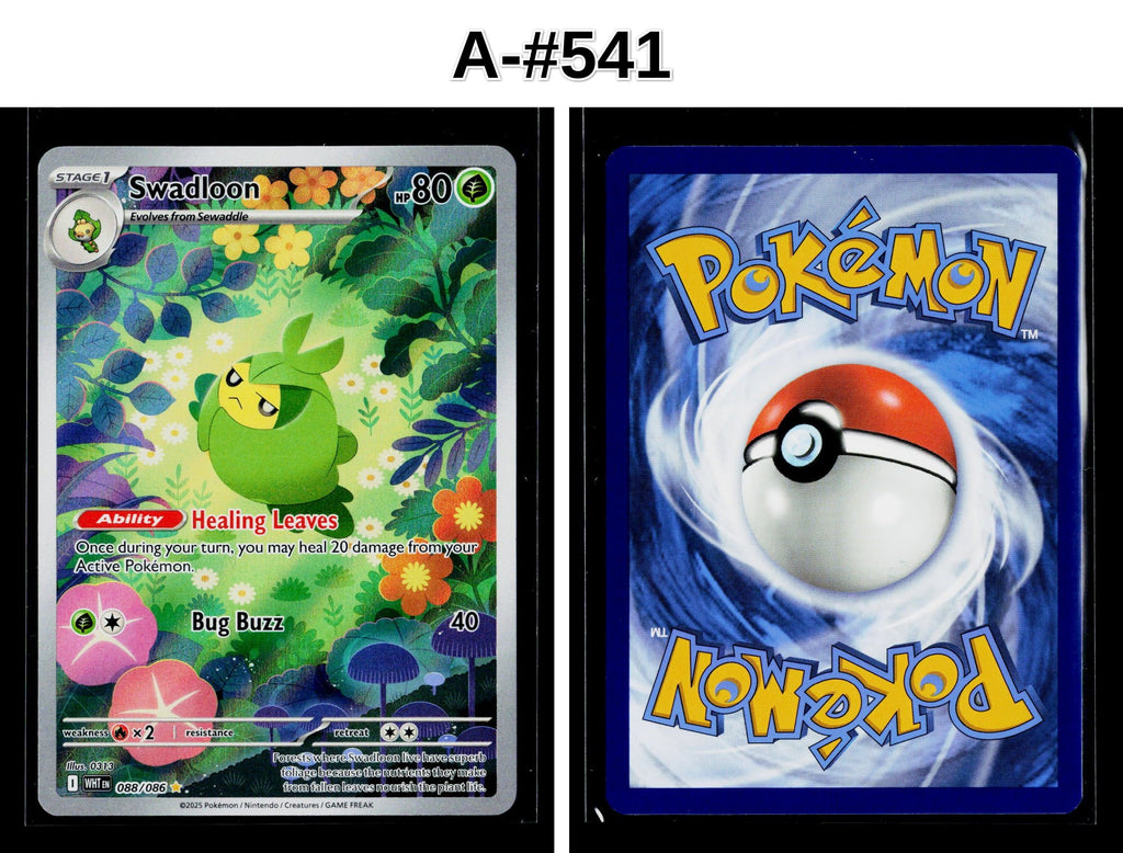 Front + Back scan