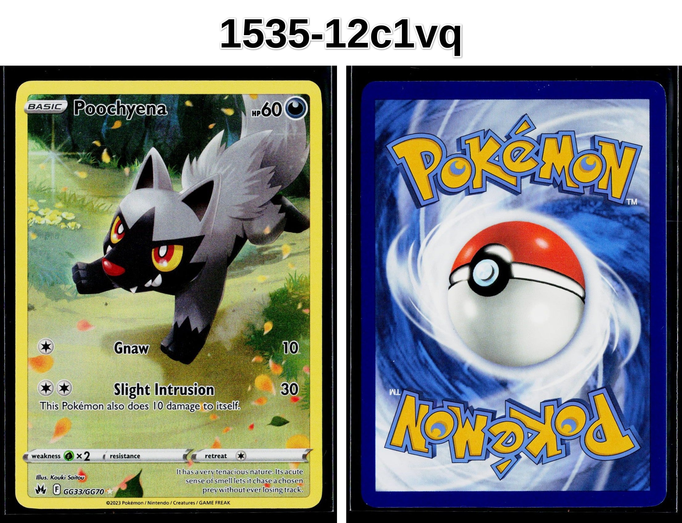 Front + Back scan