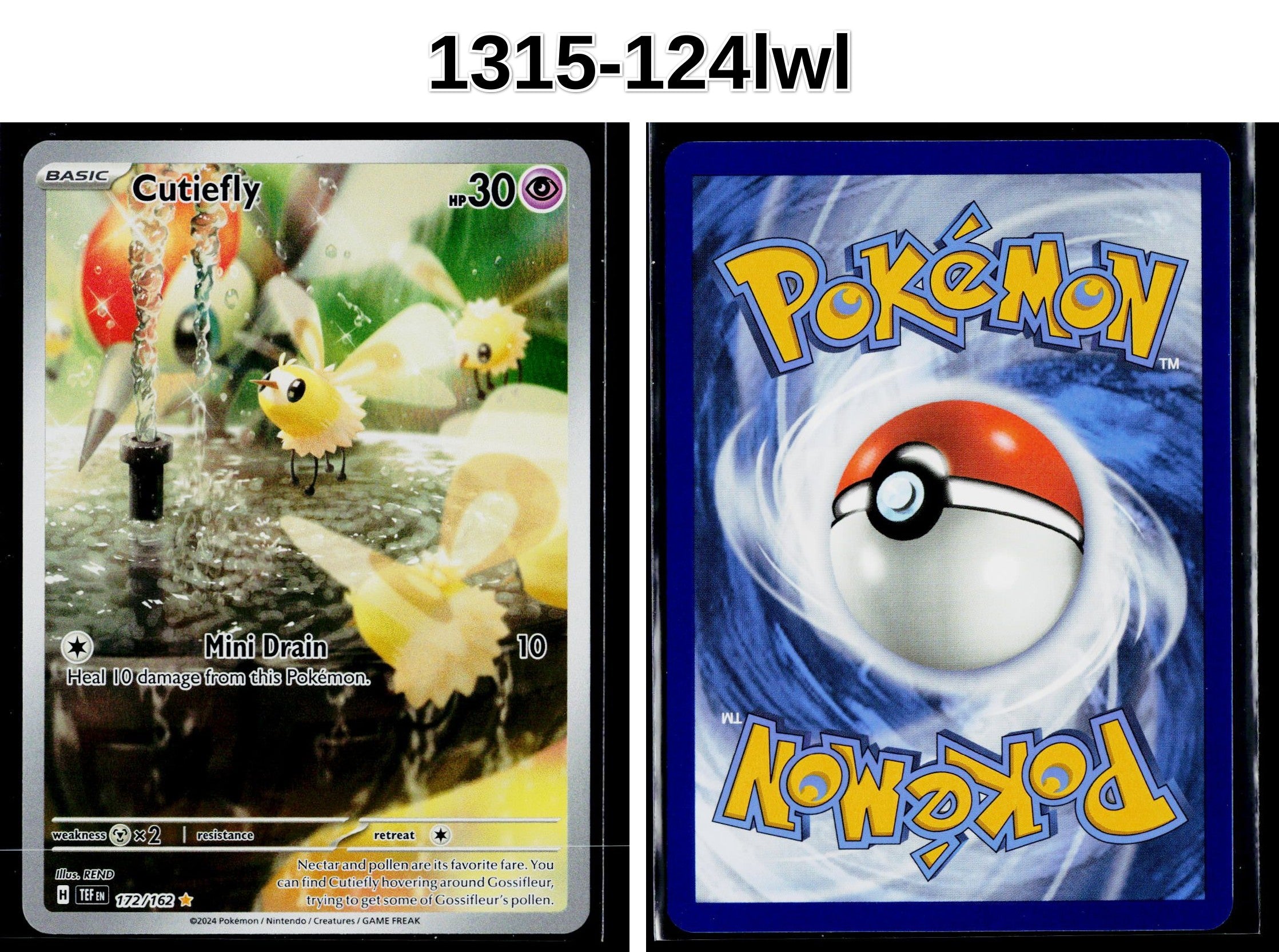 Front + Back scan