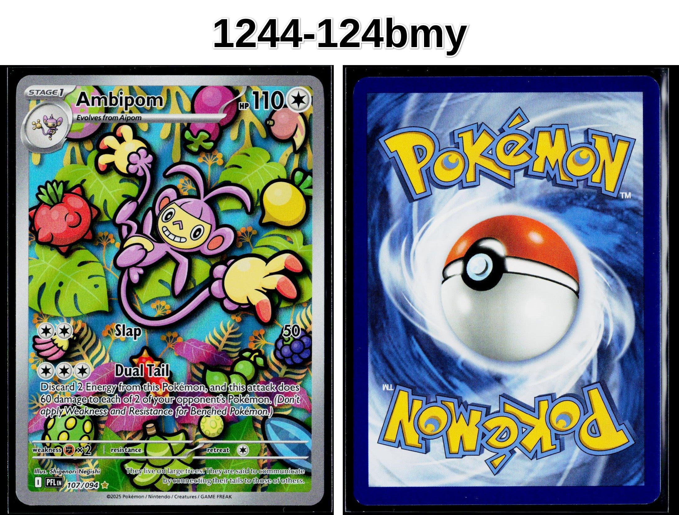 Front + Back scan