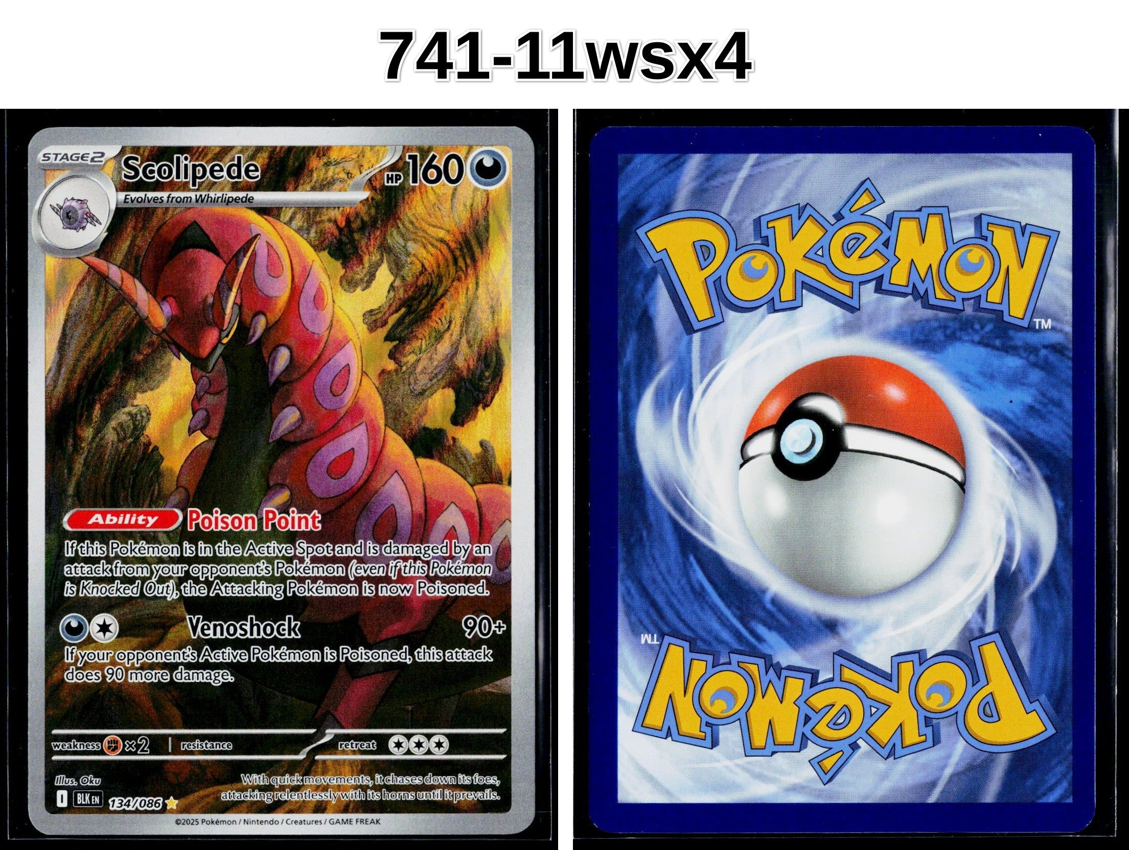 Front + Back scan