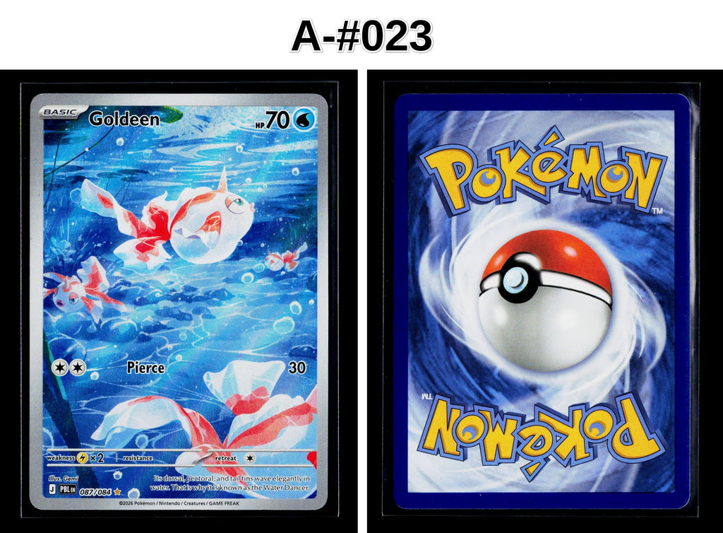 Front + Back scan
