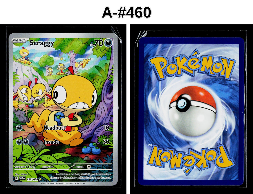 Front + Back scan