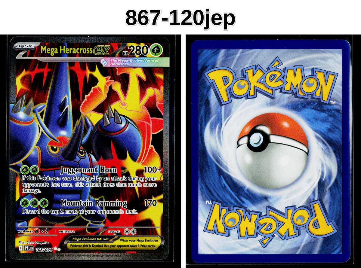 Front + Back scan