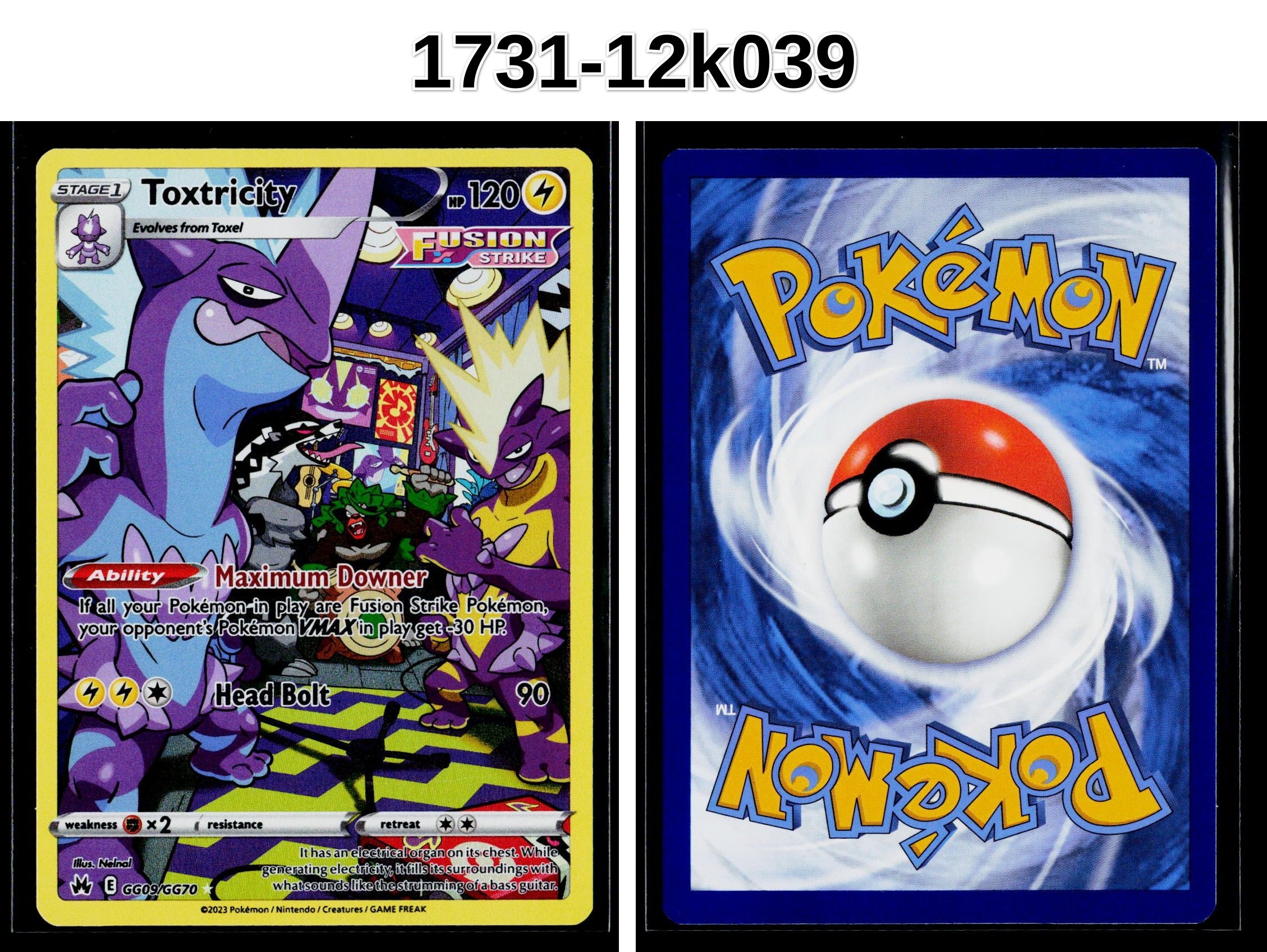 Front + Back scan