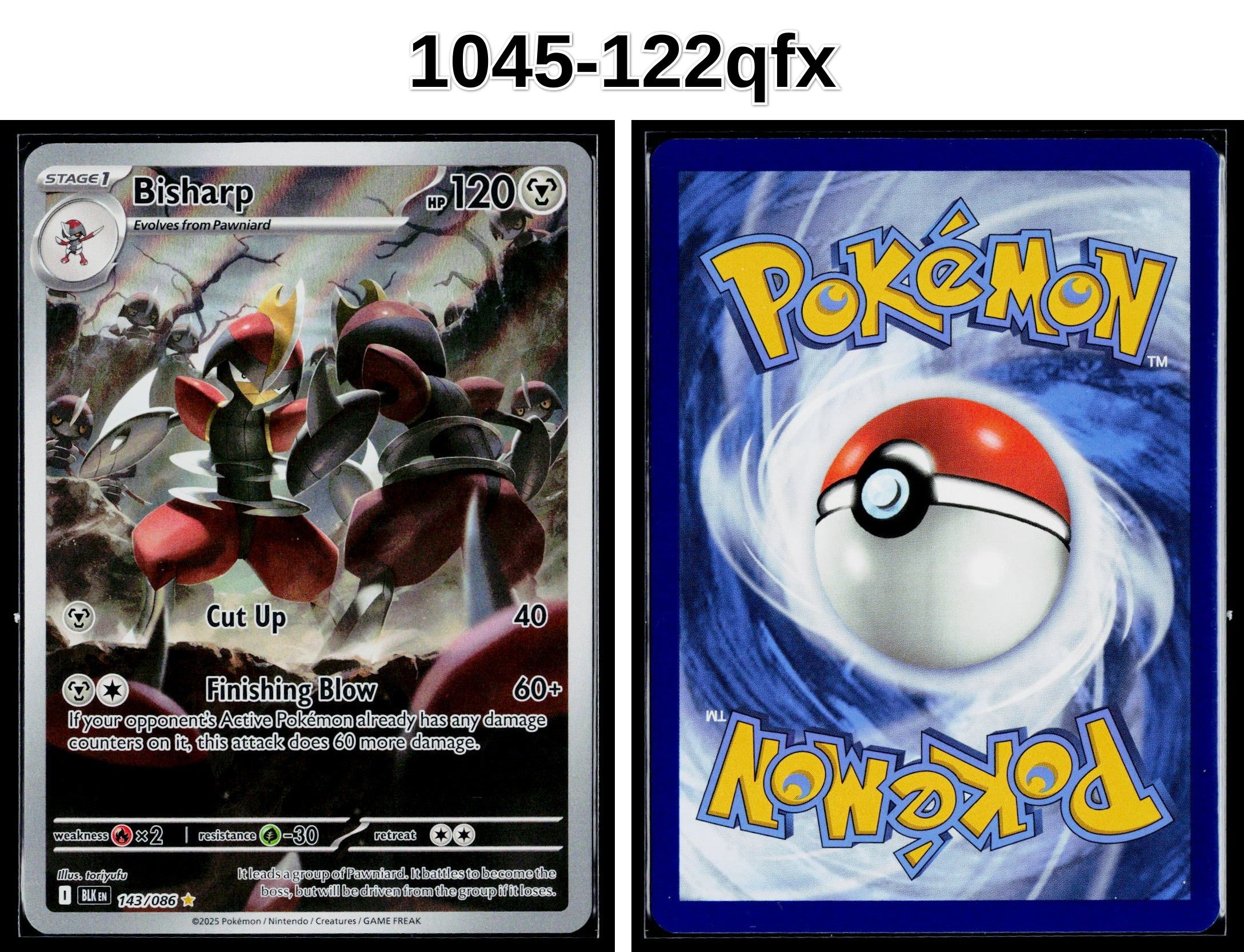 Front + Back scan