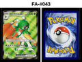 Front + Back scan