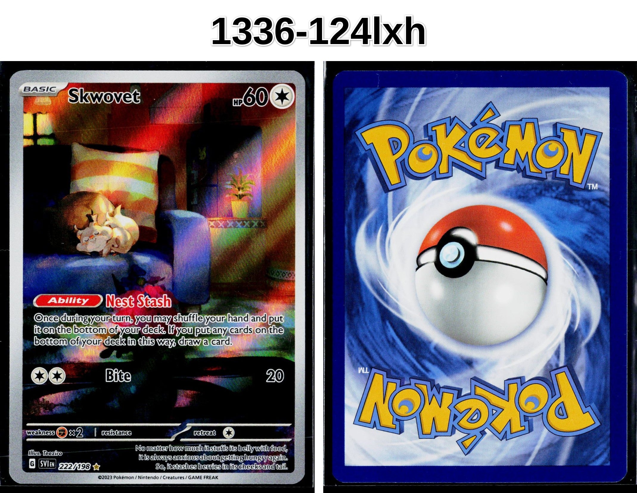 Front + Back scan