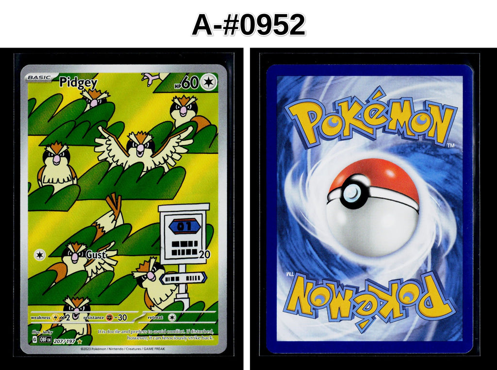 Front + Back scan