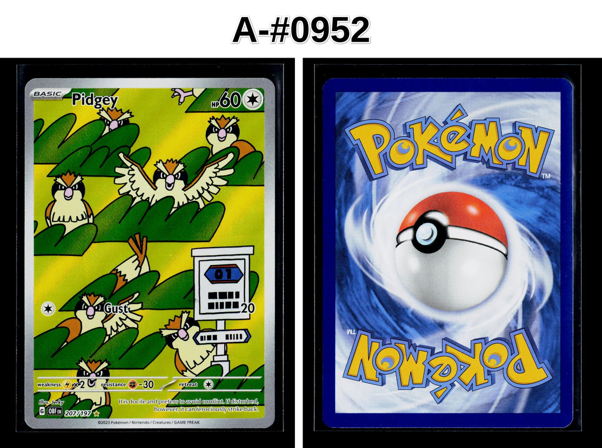 Front + Back scan