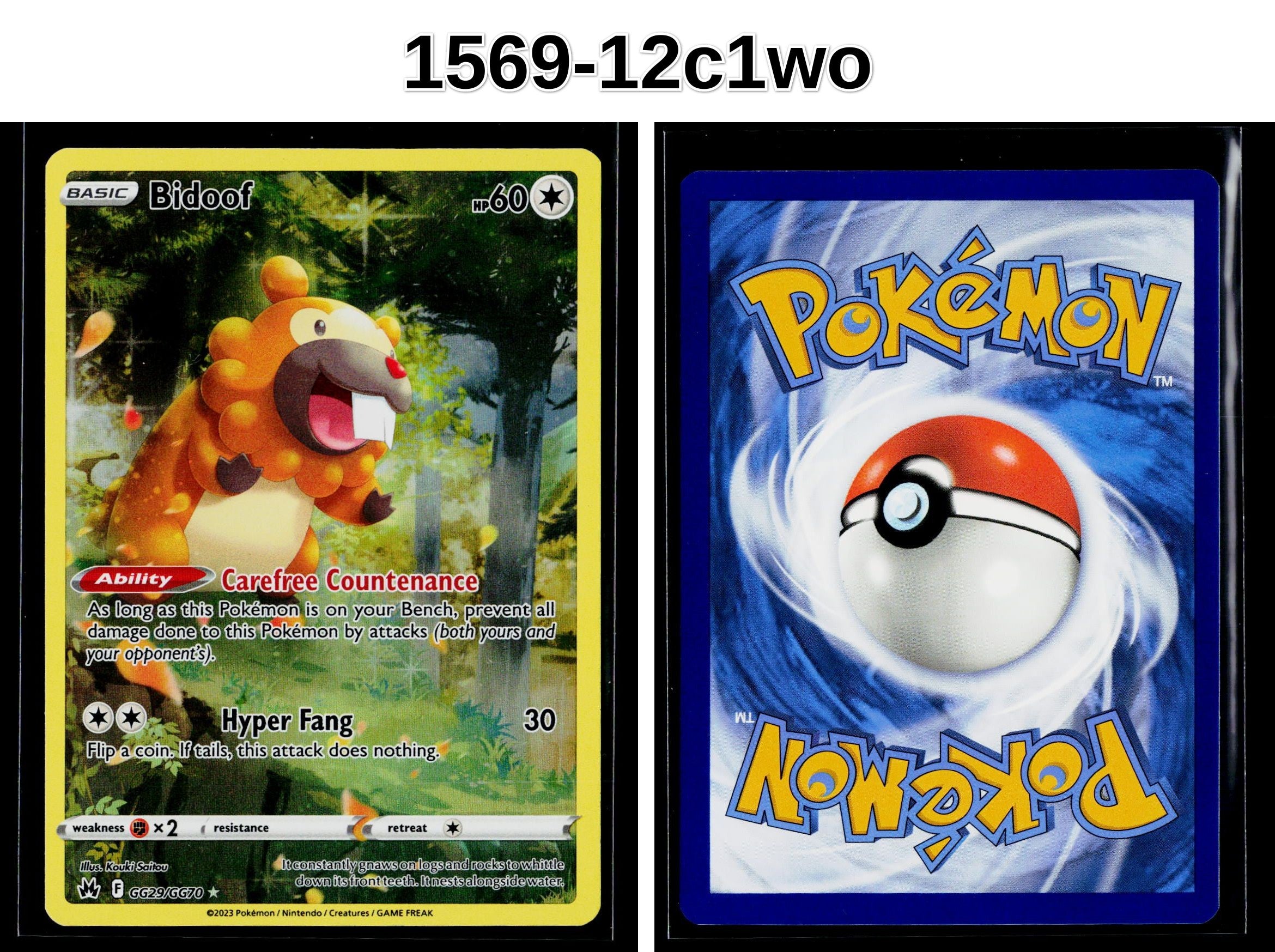 Front + Back scan