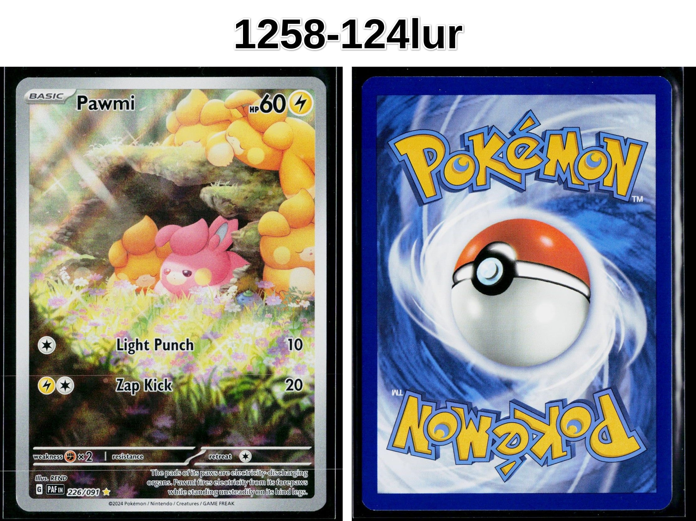 Front + Back scan
