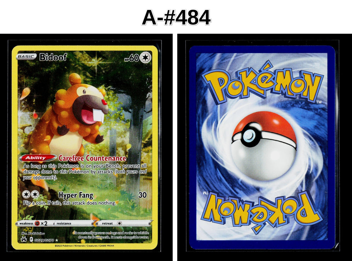 Front + Back scan