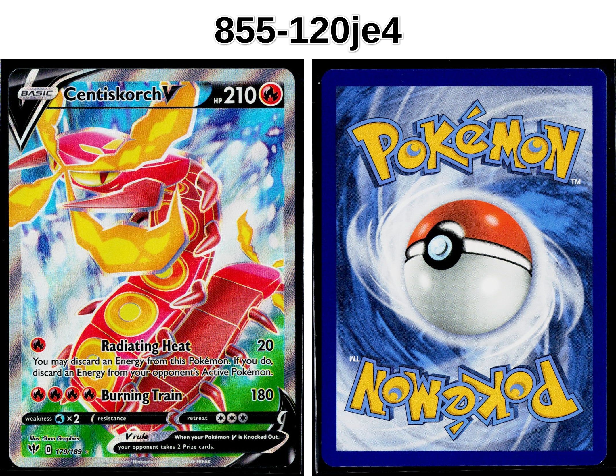 Front + Back scan