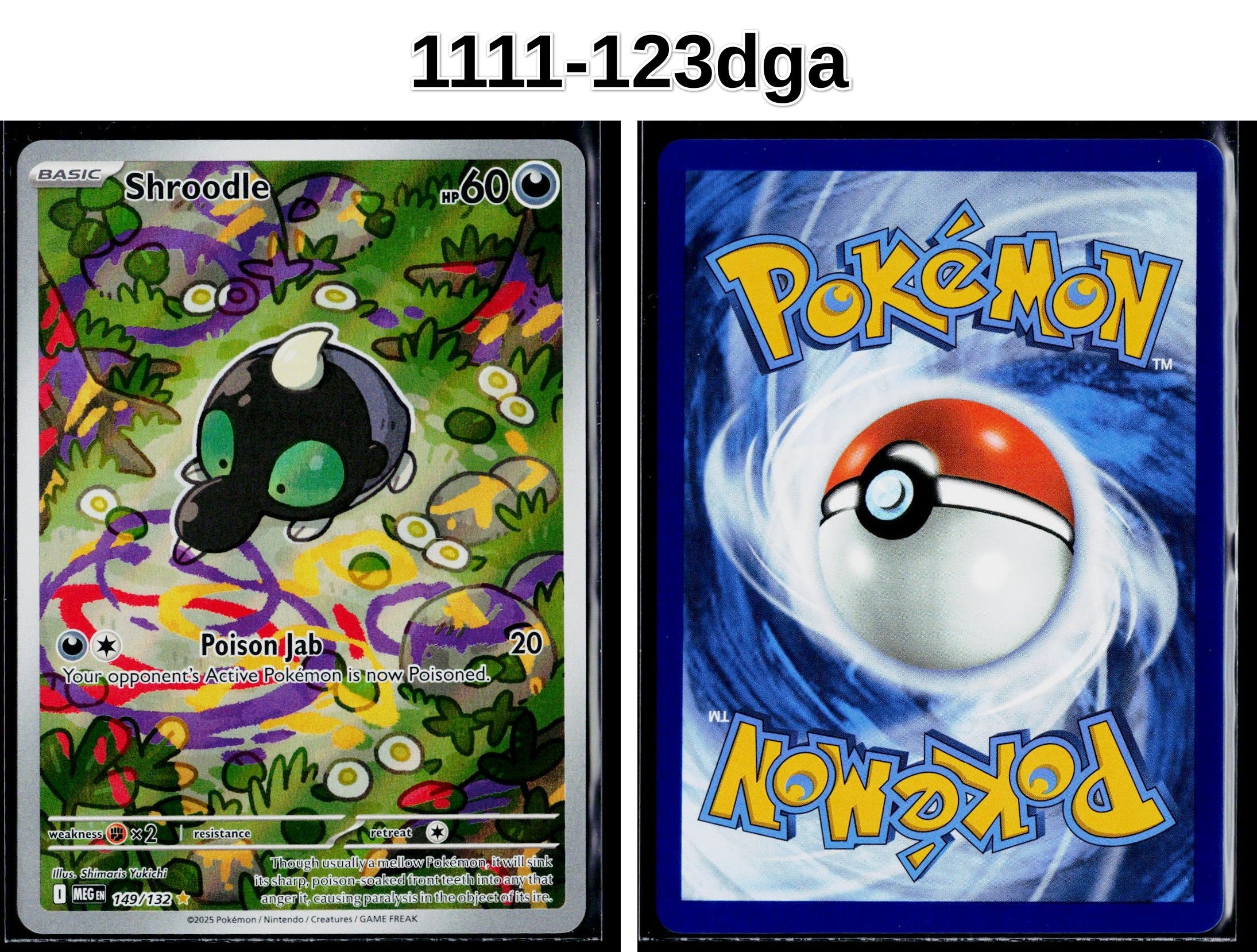 Front + Back scan