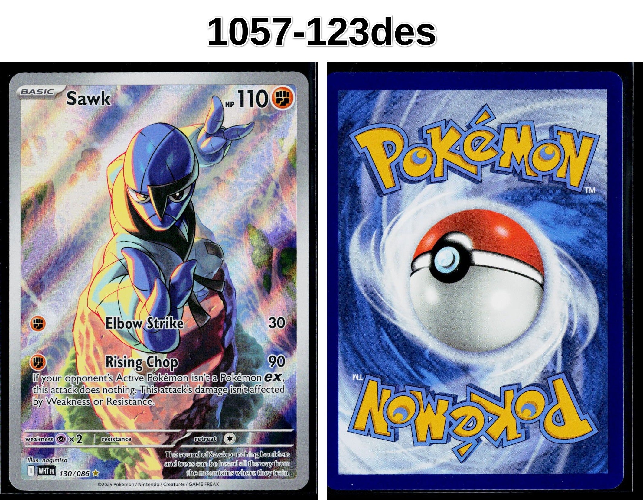 Front + Back scan