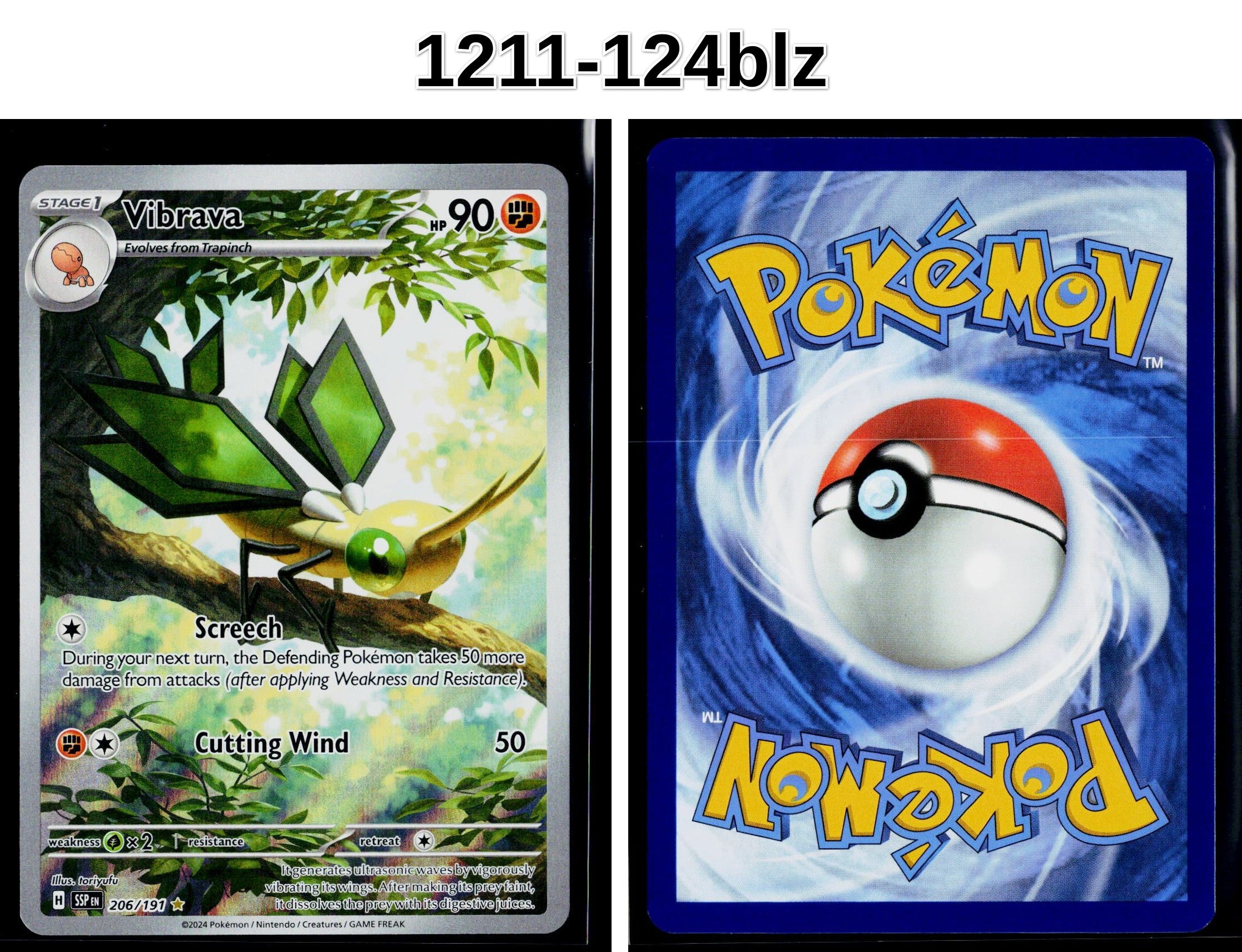 Front + Back scan