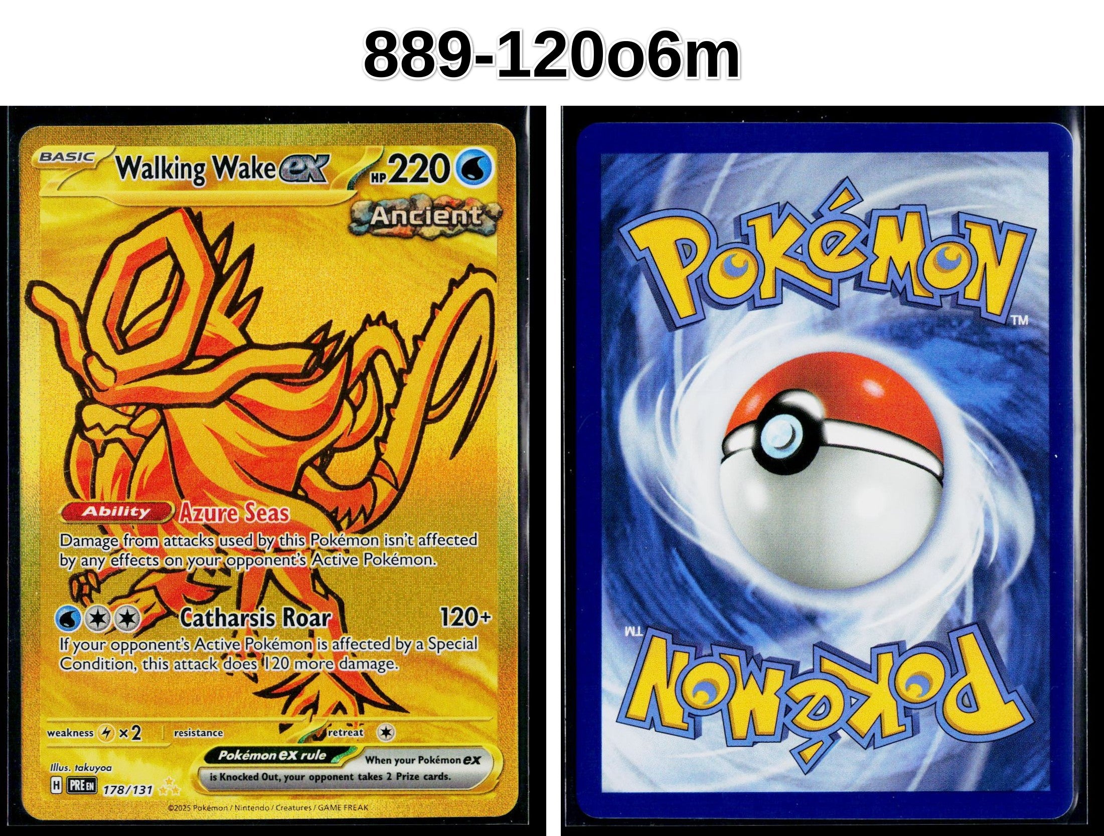 Front + Back scan