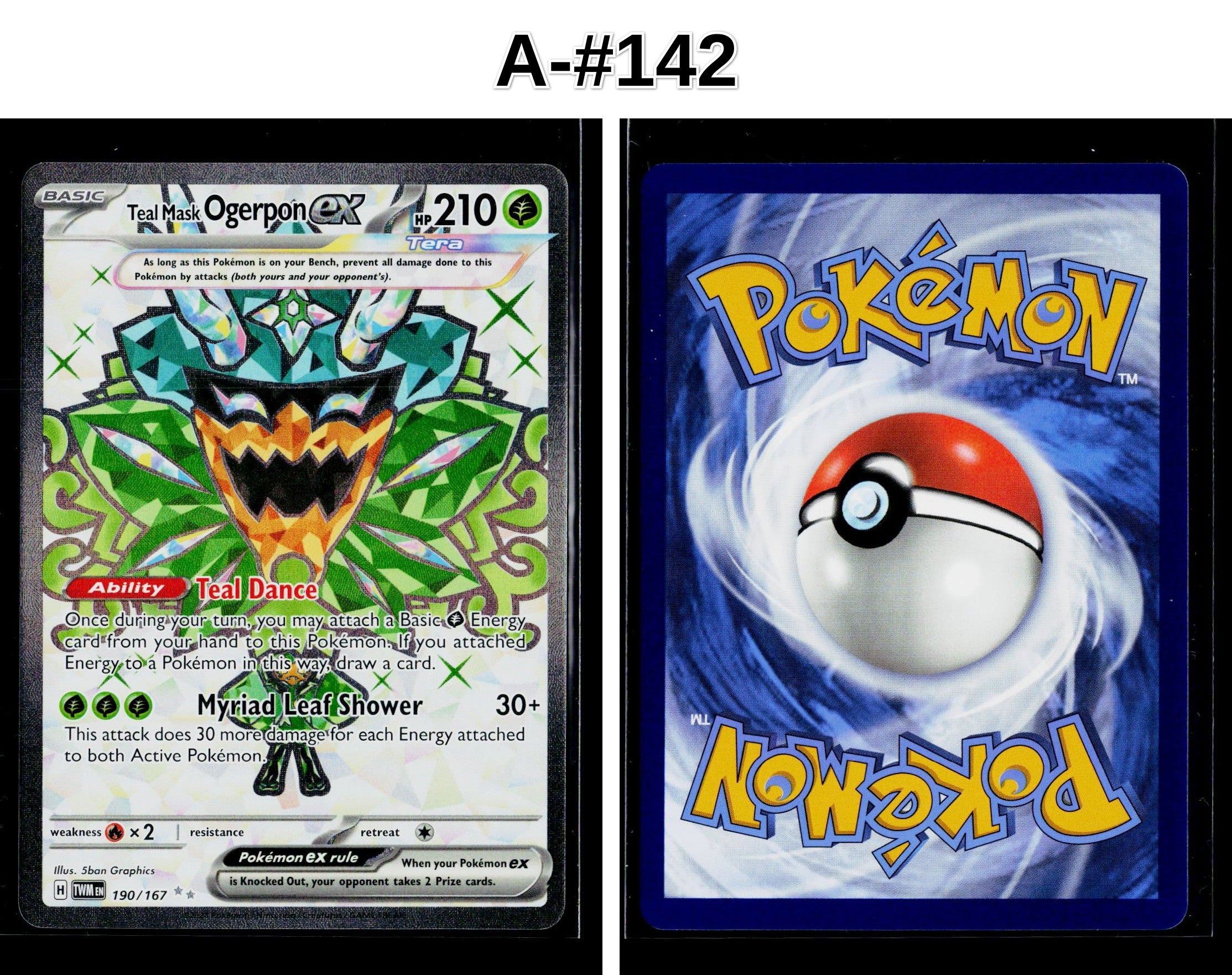 Front + Back scan