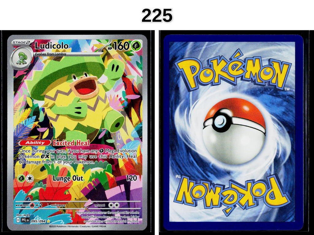 Front + Back scan