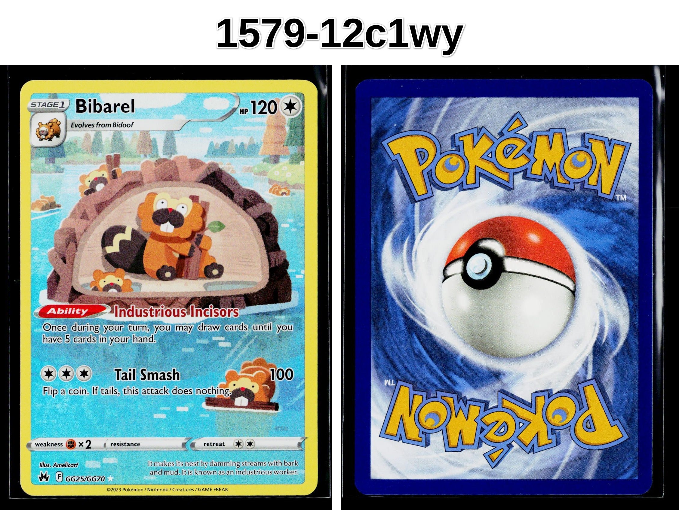 Front + Back scan