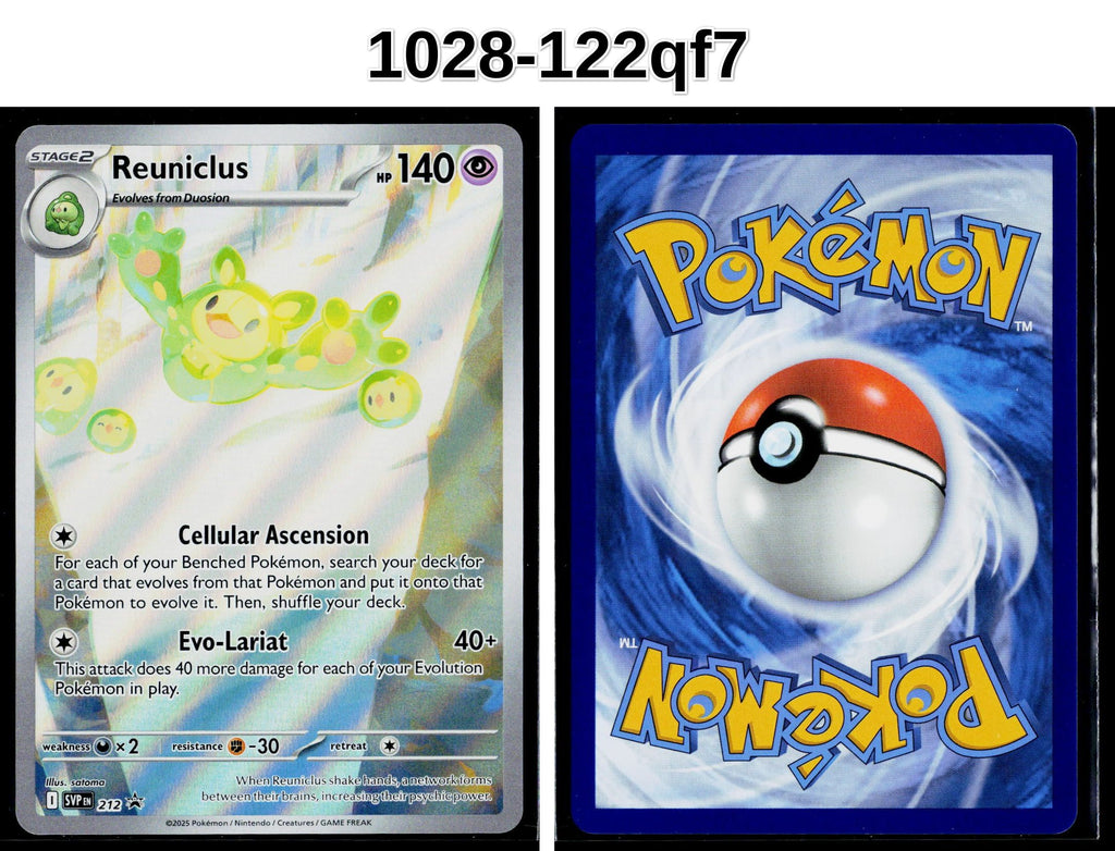 Front + Back scan