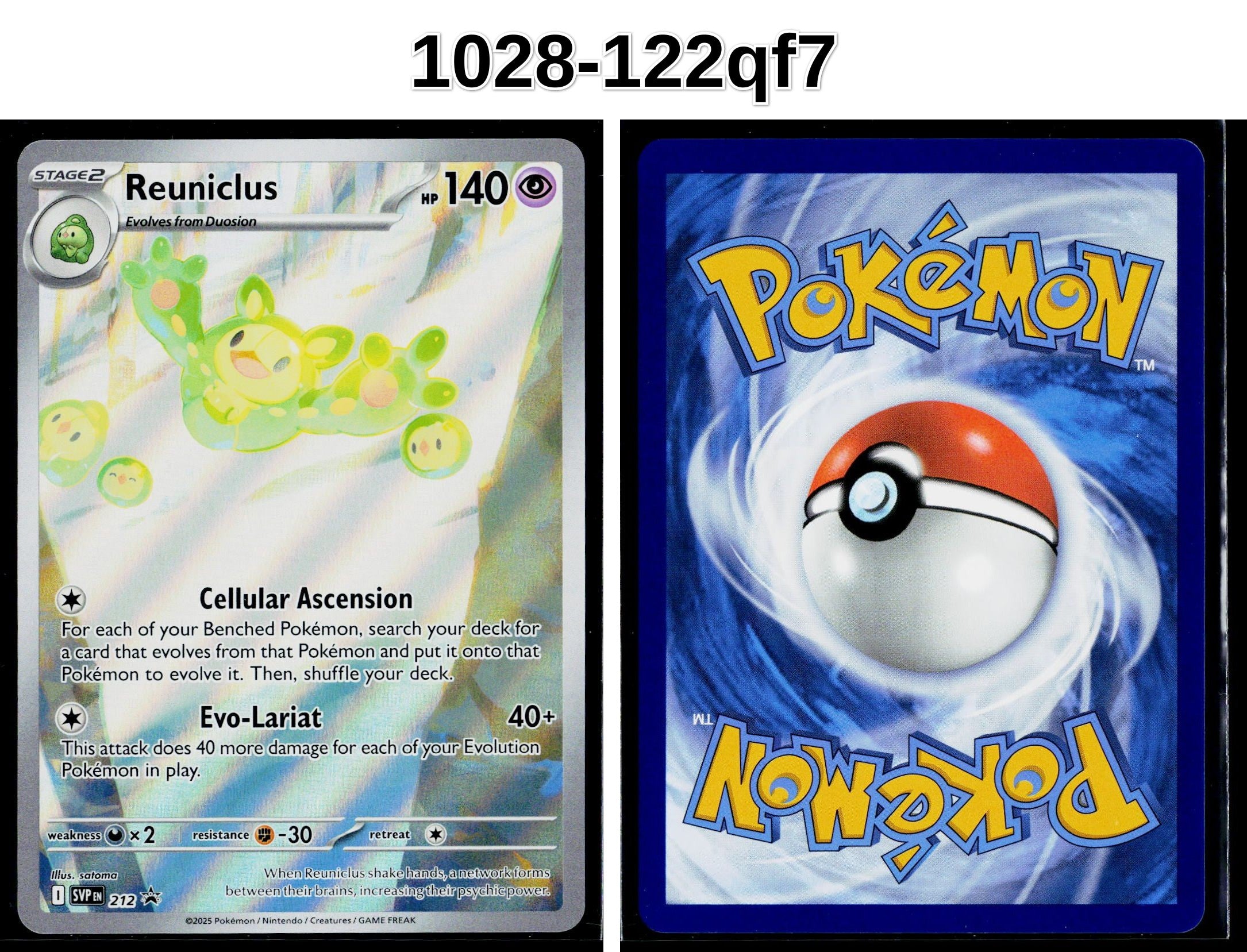 Front + Back scan
