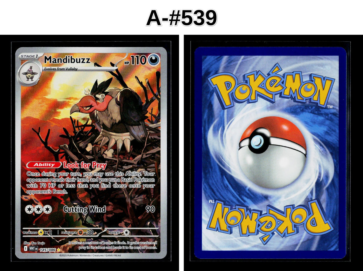 Front + Back scan