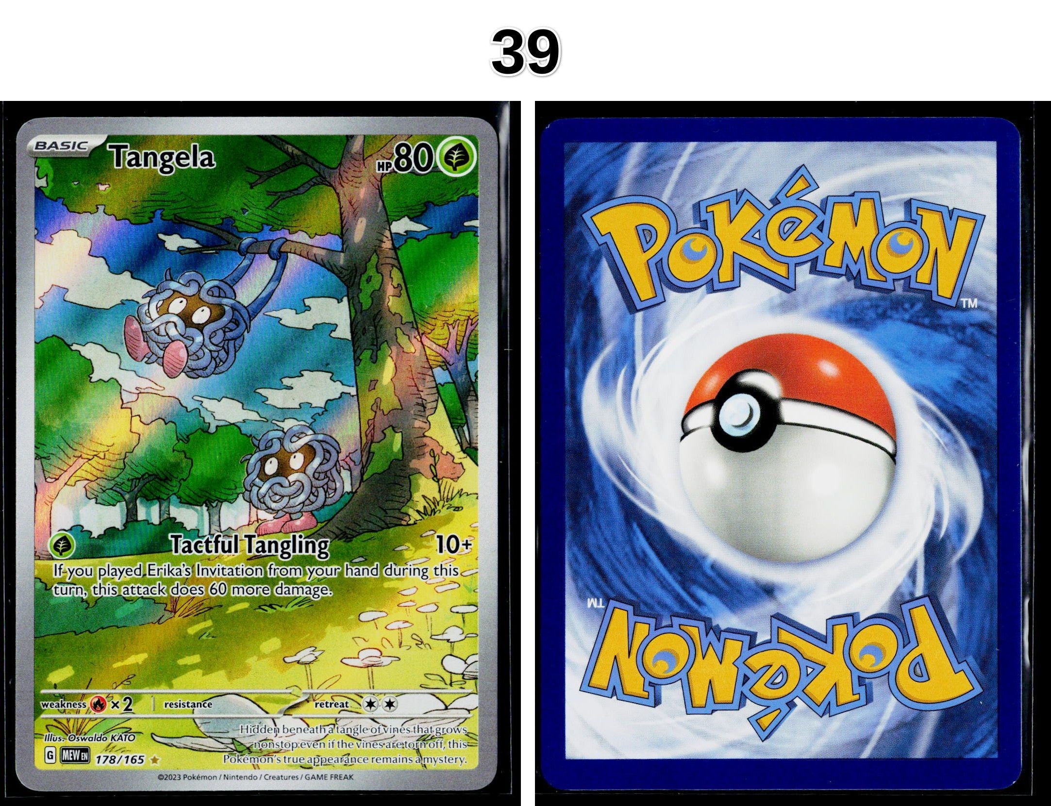 Front + Back scan
