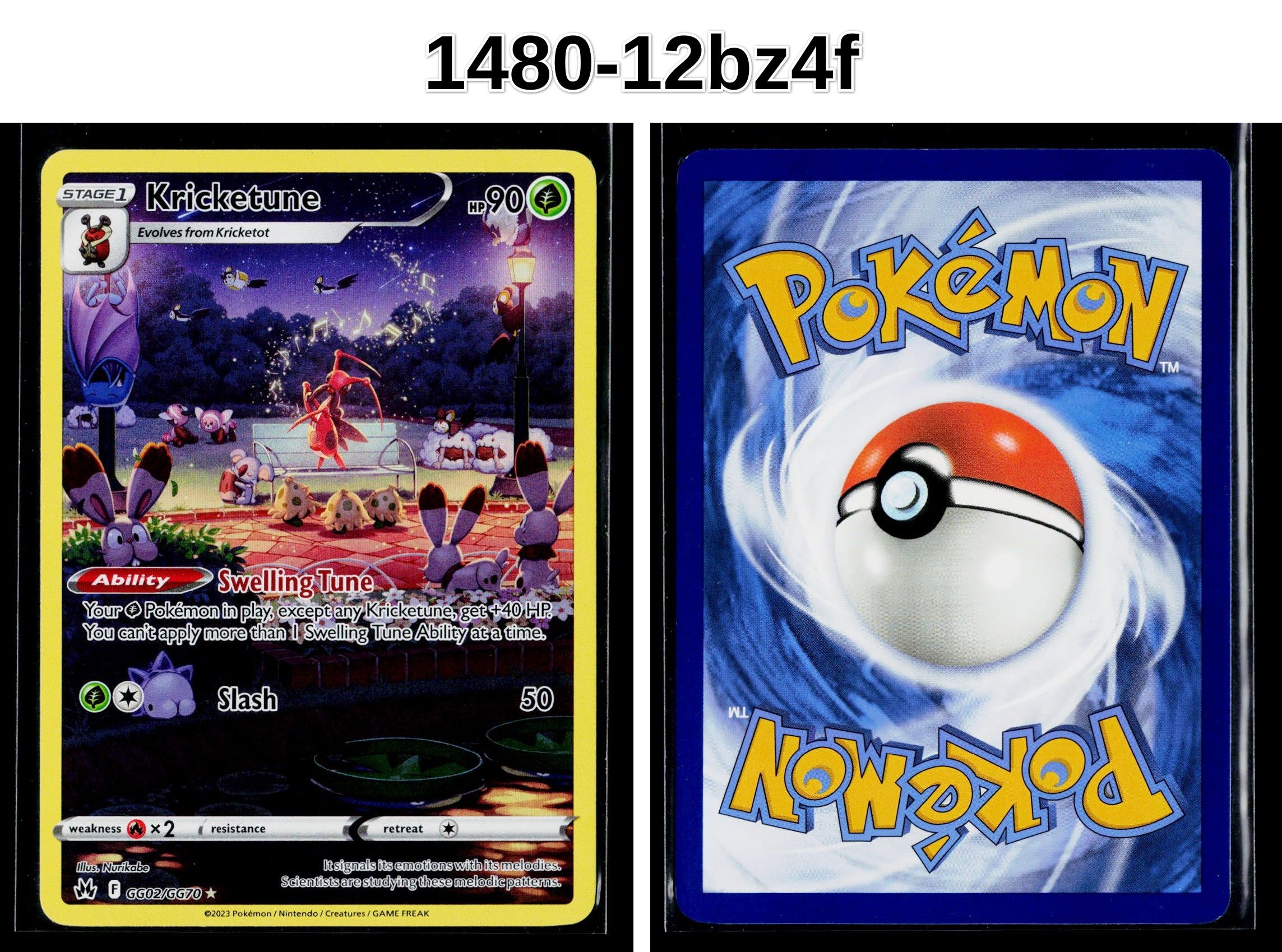 Front + Back scan